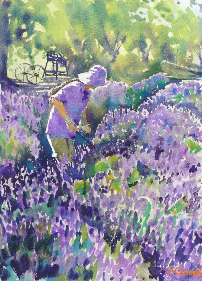 Warratina Lavender Farm, Victoria