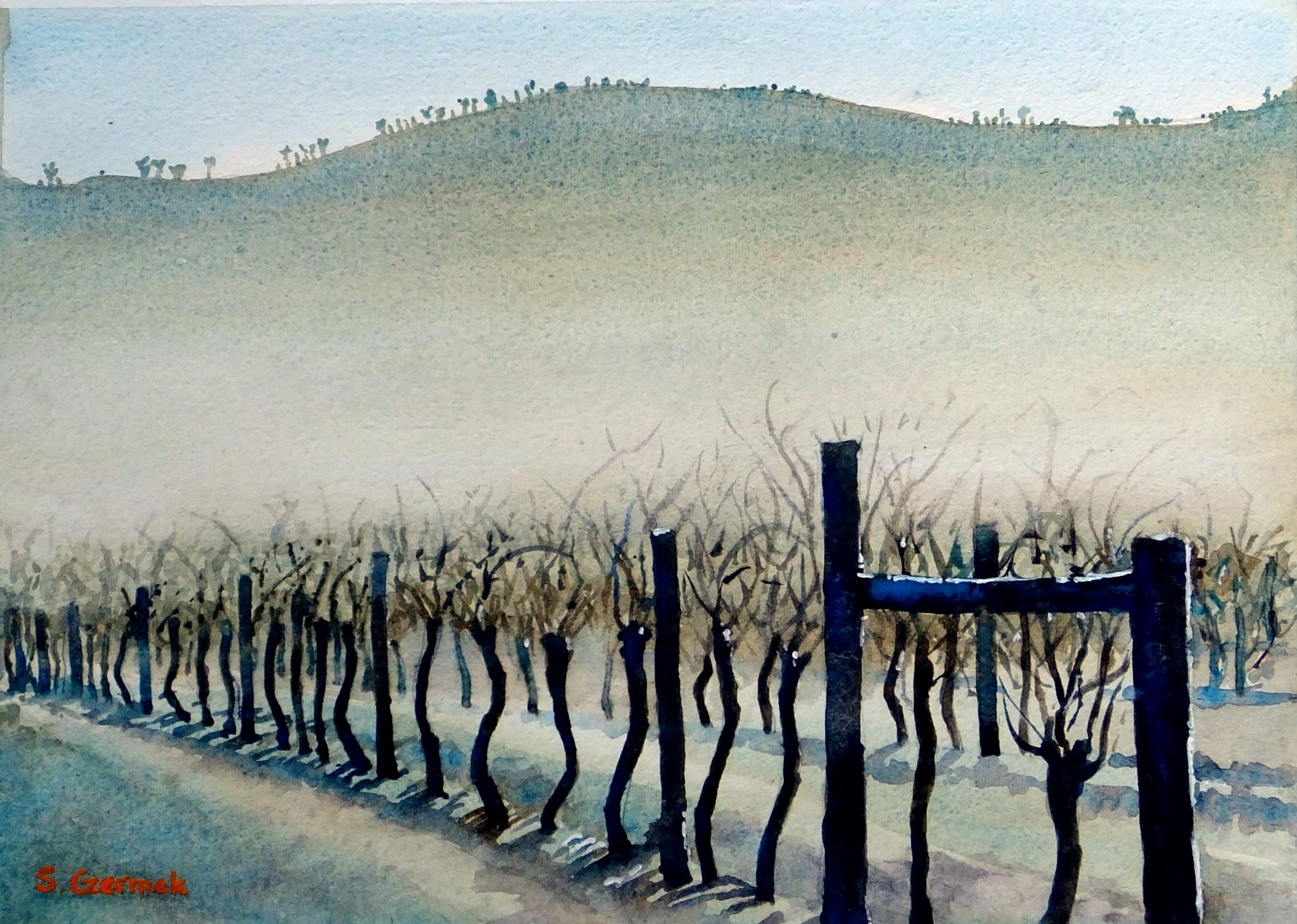 Yarra Valley Vineyard watercolour